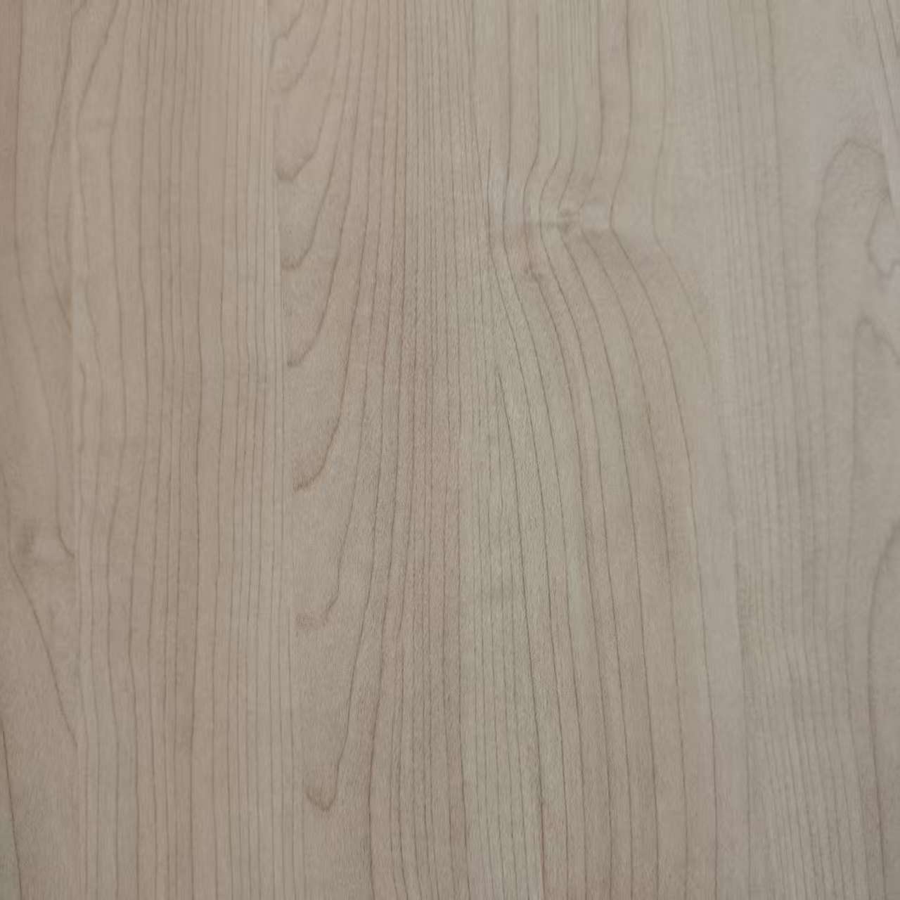 Papier melaminowy 8031-10